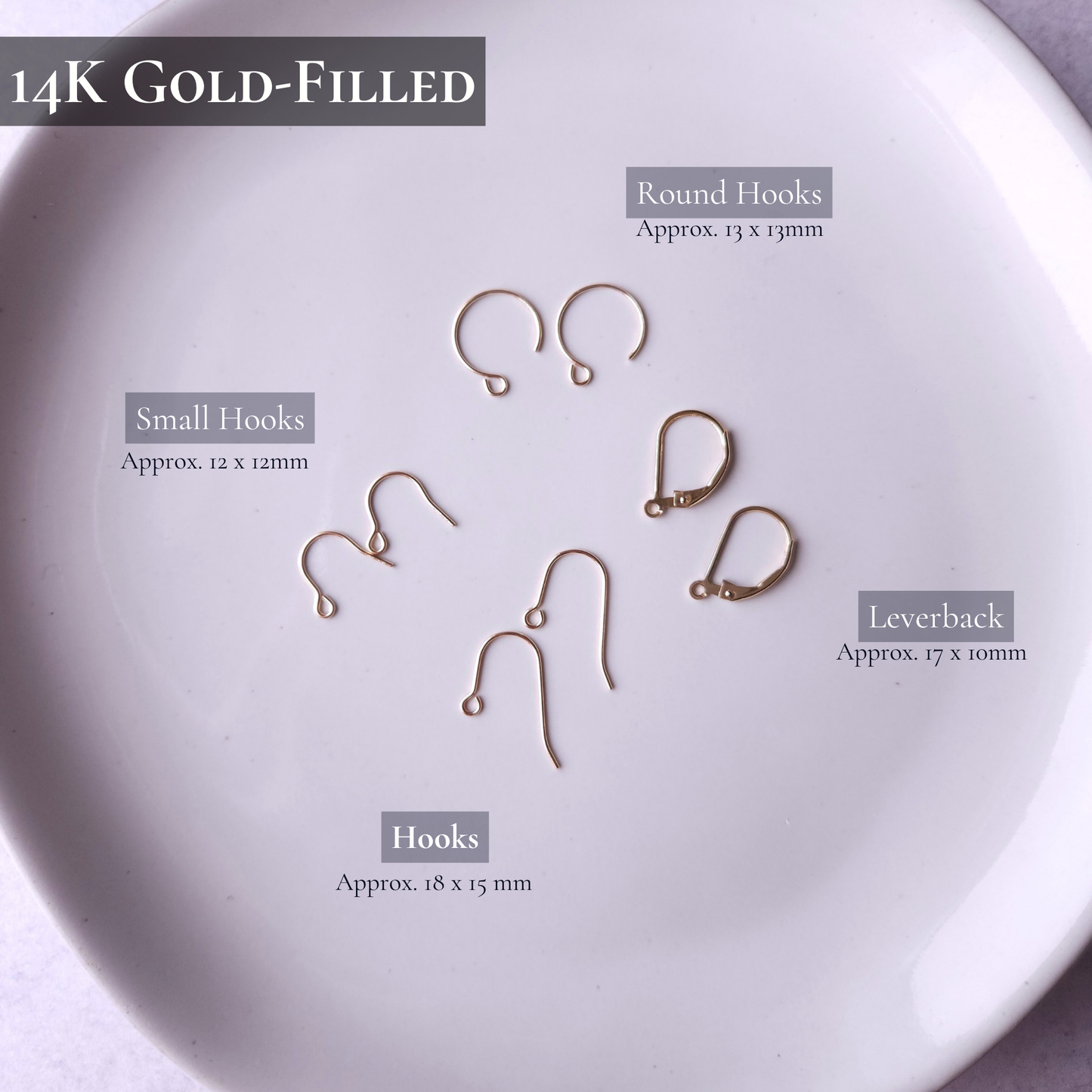 Upgrade - Earring Hooks (Gold)