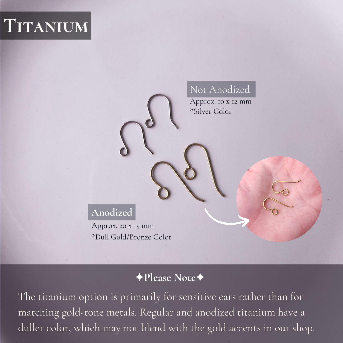 Upgrade - Earring Hooks (Gold)